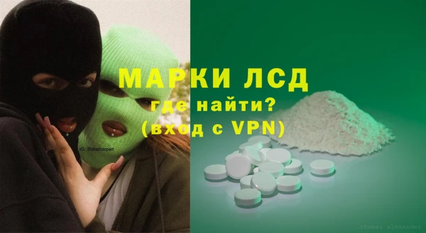хмурый Абаза