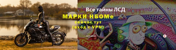 дмт Алексин