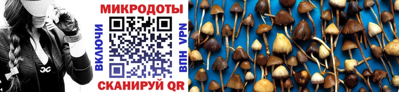 Псилоцибиновые грибы прущие грибы нарко площадка клад Вологда KRAKEN вход